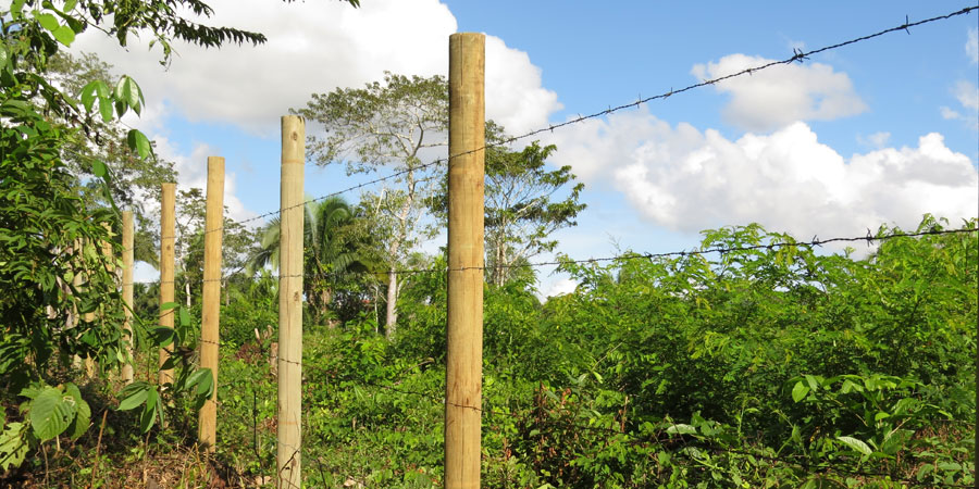 Postes de Madera para Agroindustria